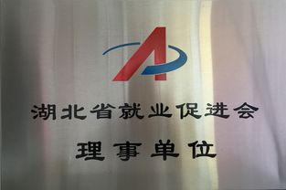 互联网时代，湖北就业市场正经历深刻重构——省就业促进会第三届会员大会在武汉召开