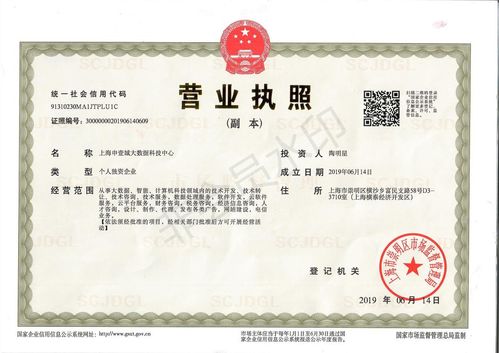 上海人力资源服务公司办理人力资源服务许可证全攻略